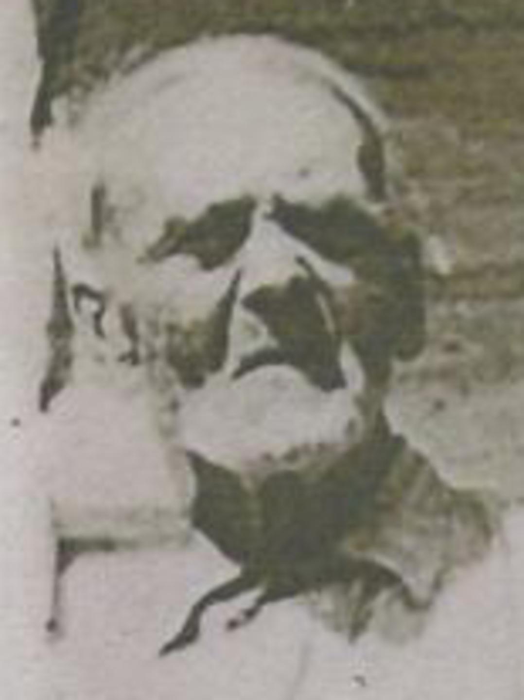 George Mattinson (1844 - 1932) Profile